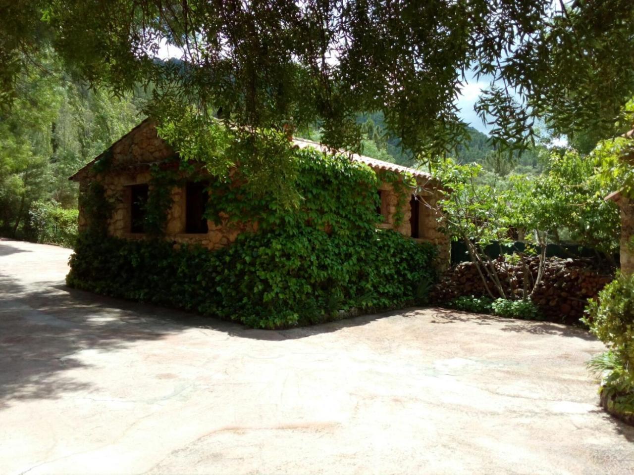 Casas Rurales Picos Del Oso Guest House Riopar Exterior photo